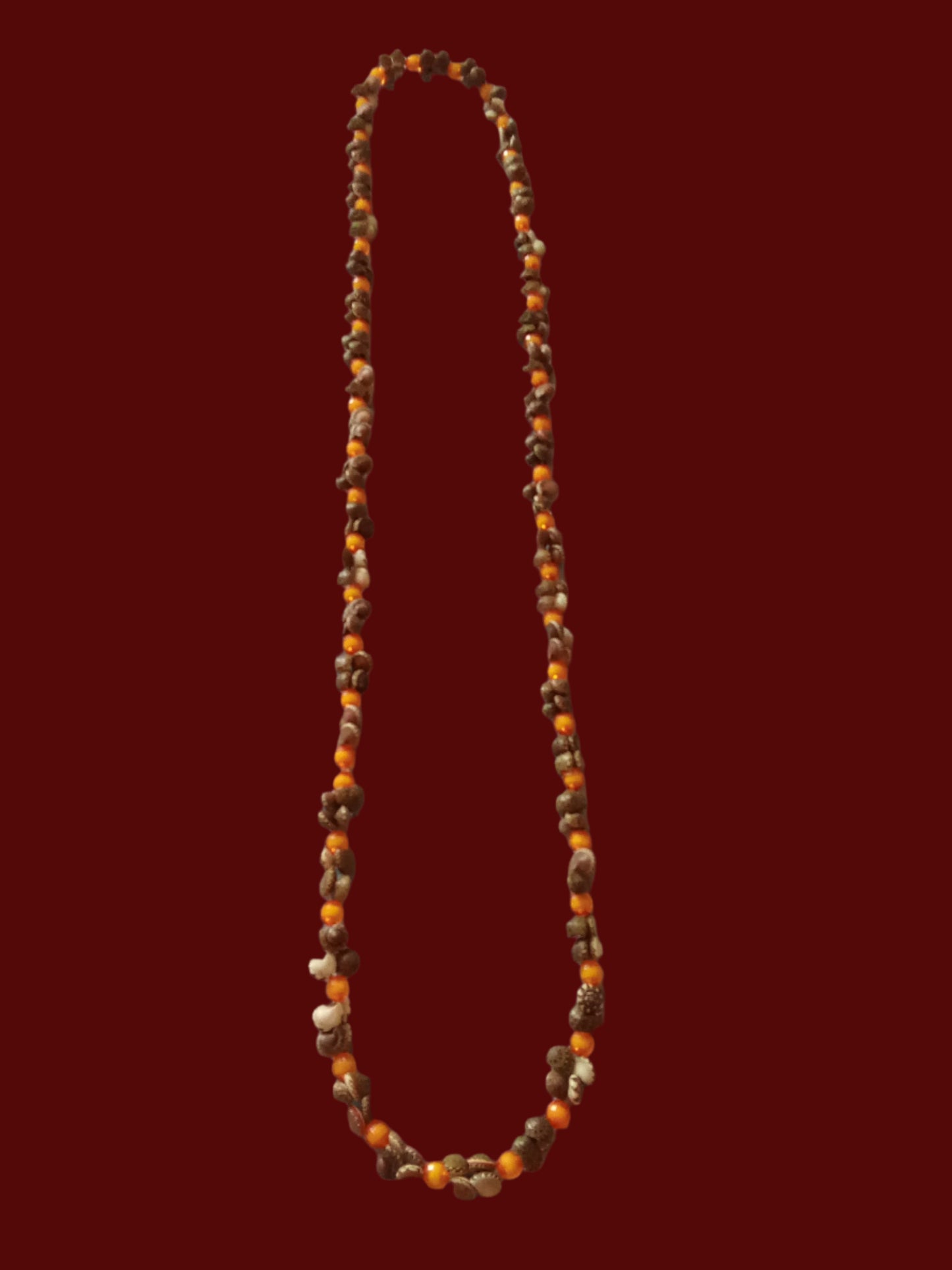 Umbonium Shell Necklace w/ orange beads