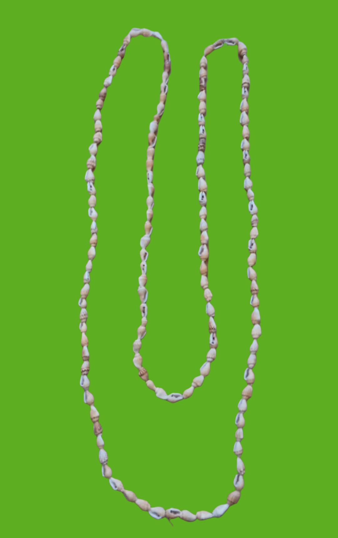 NATURAL COLOR NASA SHELL NECKLACE STRAND